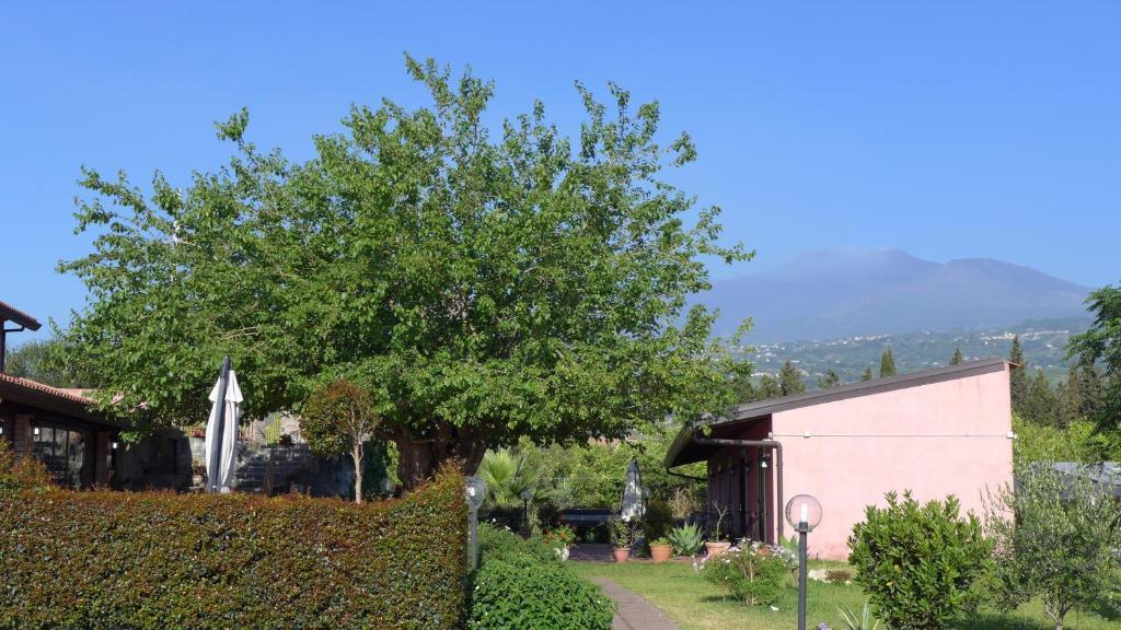 Agriturismo Il Pozzo Antico มาสคาลิ ภายนอก รูปภาพ