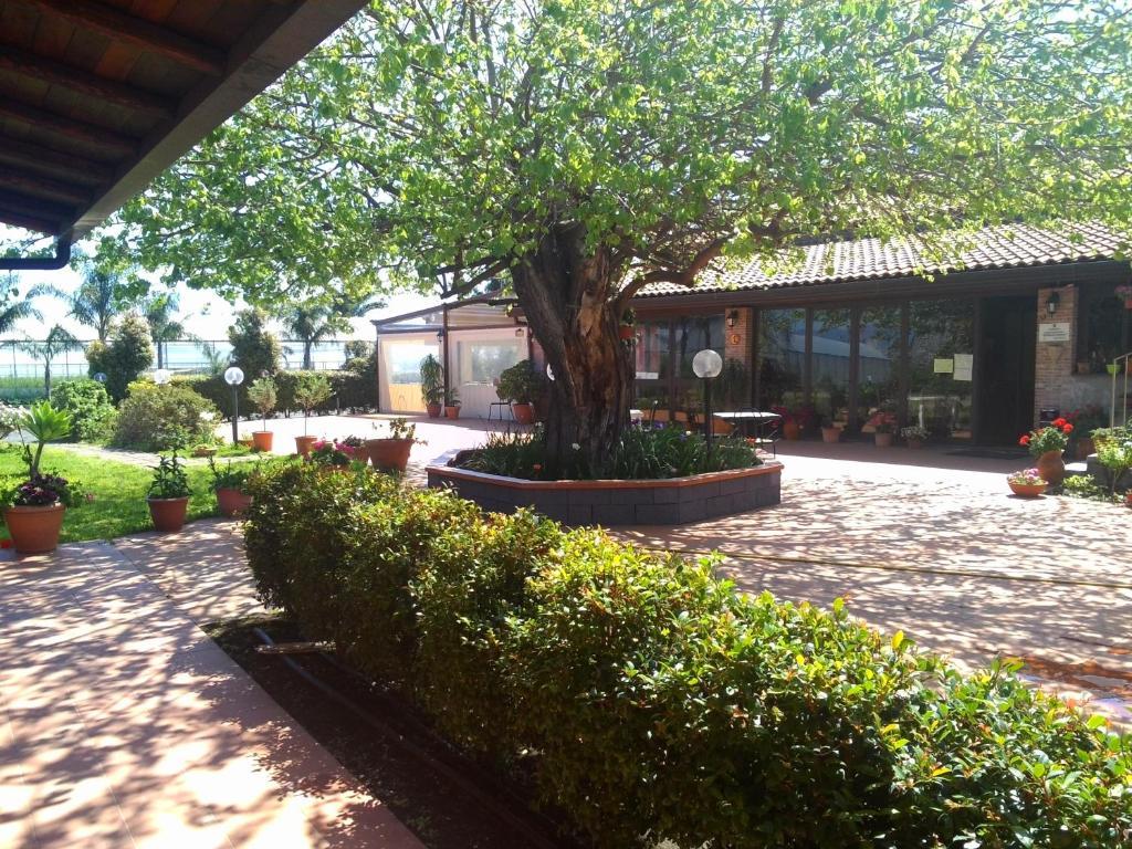 Agriturismo Il Pozzo Antico มาสคาลิ ภายนอก รูปภาพ